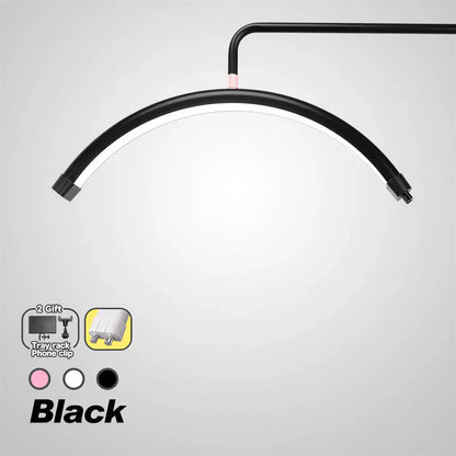 Zora Professional LED beauty work light with adjustable arm and bright lighting for salon or makeup applications.